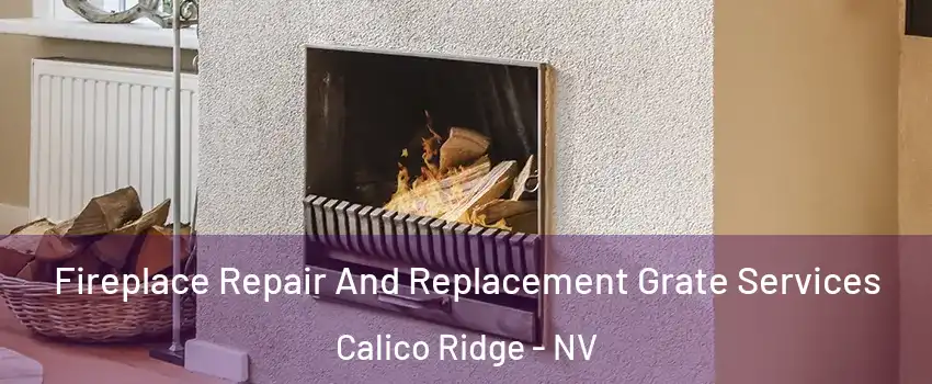 Fireplace Repair And Replacement Grate Services Calico Ridge - NV