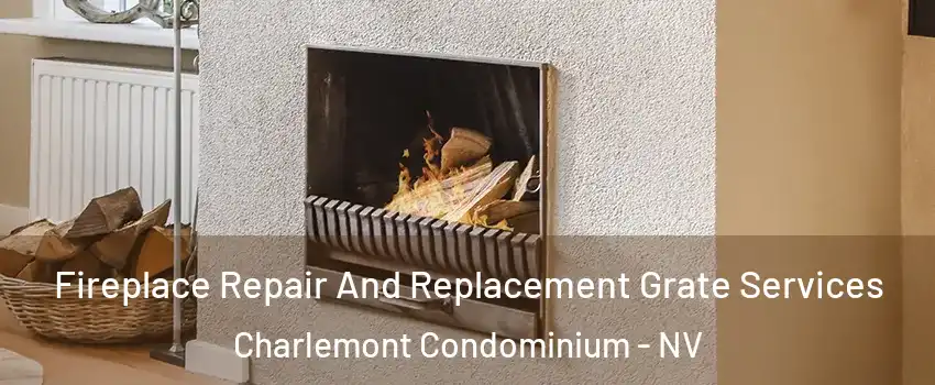 Fireplace Repair And Replacement Grate Services Charlemont Condominium - NV