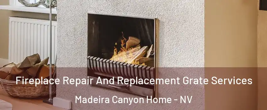 Fireplace Repair And Replacement Grate Services Madeira Canyon Home - NV