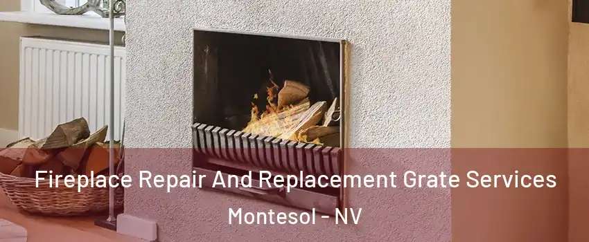Fireplace Repair And Replacement Grate Services Montesol - NV