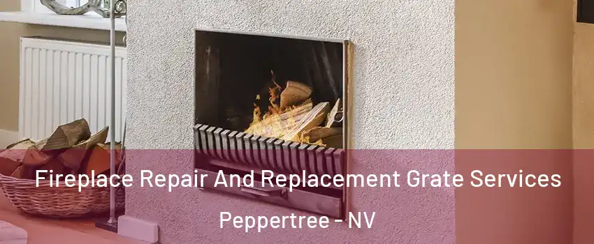 Fireplace Repair And Replacement Grate Services Peppertree - NV