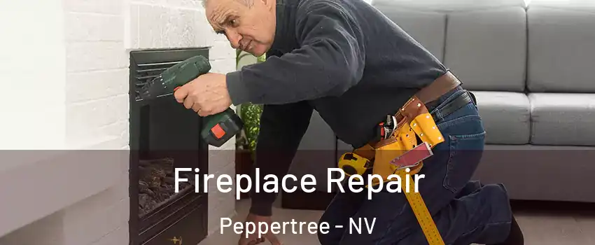 Fireplace Repair Peppertree - NV