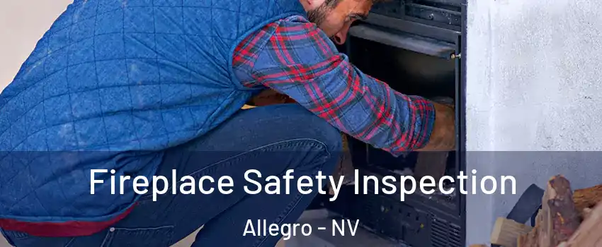 Fireplace Safety Inspection Allegro - NV