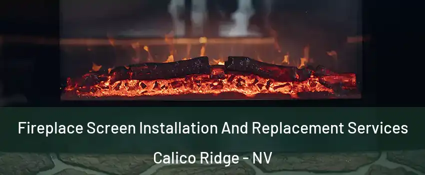 Fireplace Screen Installation And Replacement Services Calico Ridge - NV