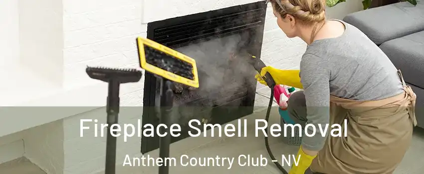 Fireplace Smell Removal Anthem Country Club - NV