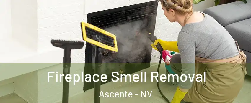 Fireplace Smell Removal Ascente - NV