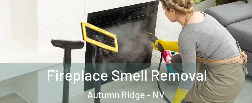 Fireplace Smell Removal Autumn Ridge - NV