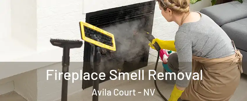 Fireplace Smell Removal Avila Court - NV