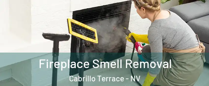 Fireplace Smell Removal Cabrillo Terrace - NV