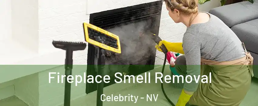 Fireplace Smell Removal Celebrity - NV
