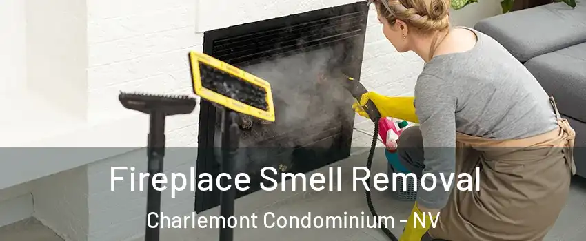 Fireplace Smell Removal Charlemont Condominium - NV
