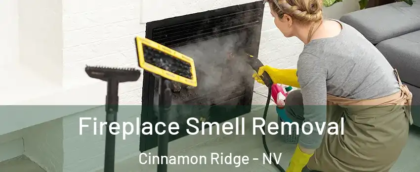 Fireplace Smell Removal Cinnamon Ridge - NV