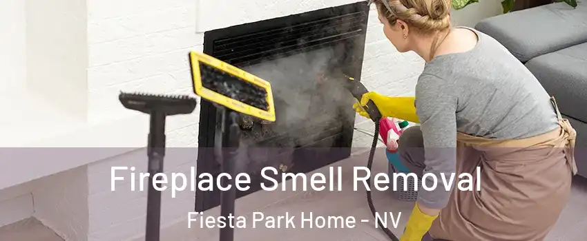 Fireplace Smell Removal Fiesta Park Home - NV
