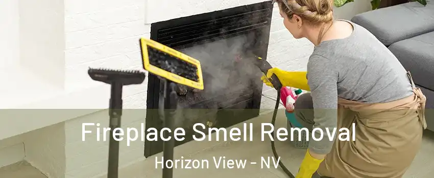 Fireplace Smell Removal Horizon View - NV