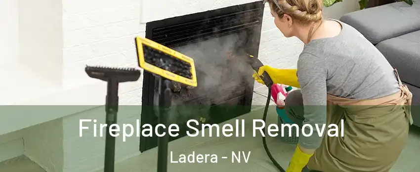 Fireplace Smell Removal Ladera - NV