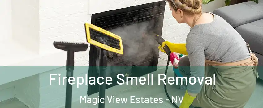 Fireplace Smell Removal Magic View Estates - NV