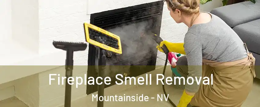 Fireplace Smell Removal Mountainside - NV
