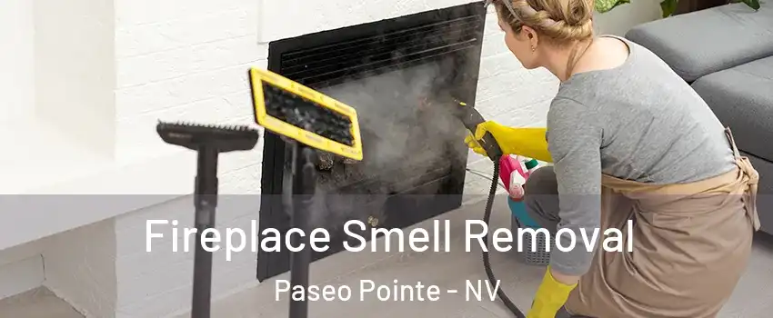 Fireplace Smell Removal Paseo Pointe - NV