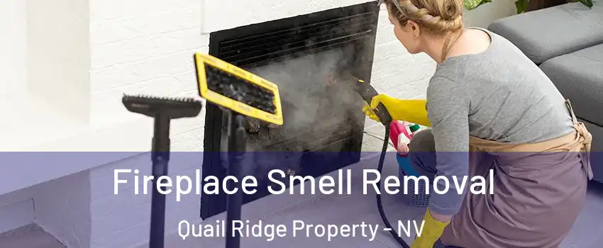 Fireplace Smell Removal Quail Ridge Property - NV