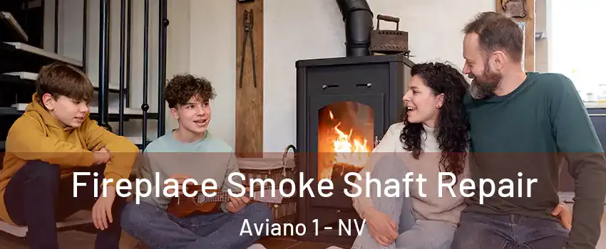 Fireplace Smoke Shaft Repair Aviano 1 - NV