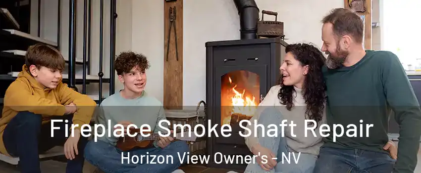 Fireplace Smoke Shaft Repair Horizon View Owner's - NV