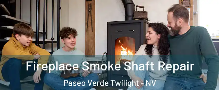 Fireplace Smoke Shaft Repair Paseo Verde Twilight - NV