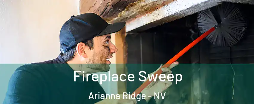 Fireplace Sweep Arianna Ridge - NV
