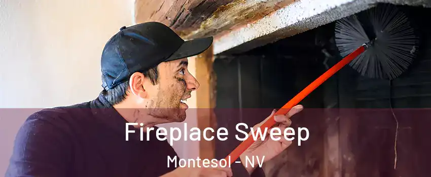 Fireplace Sweep Montesol - NV