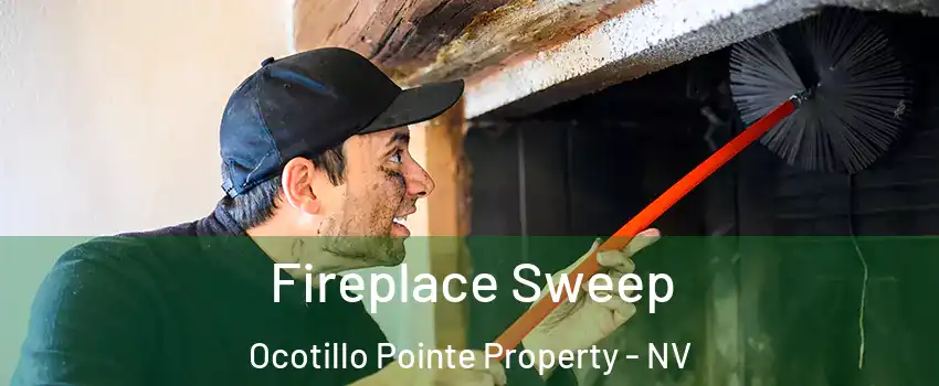 Fireplace Sweep Ocotillo Pointe Property - NV