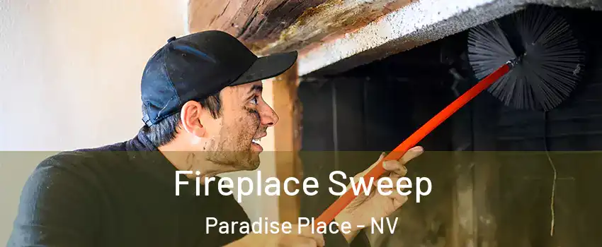 Fireplace Sweep Paradise Place - NV