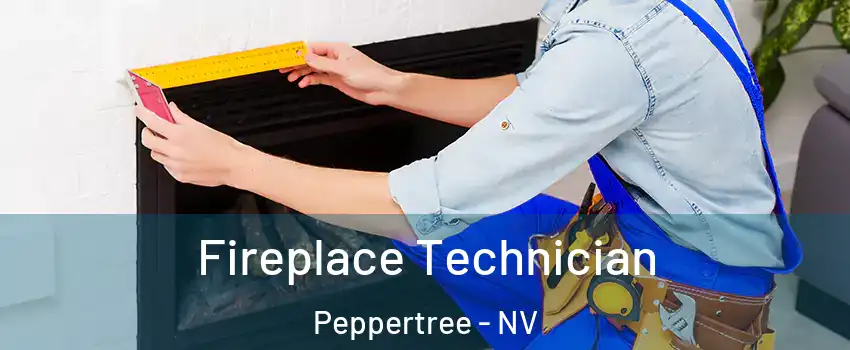 Fireplace Technician Peppertree - NV