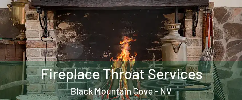 Fireplace Throat Services Black Mountain Cove - NV