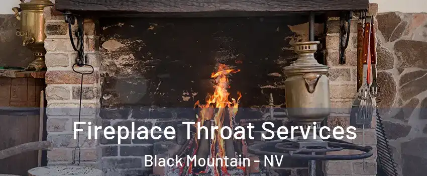 Fireplace Throat Services Black Mountain - NV