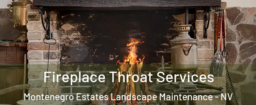 Fireplace Throat Services Montenegro Estates Landscape Maintenance - NV