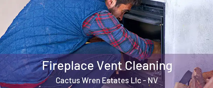 Fireplace Vent Cleaning Cactus Wren Estates Llc - NV