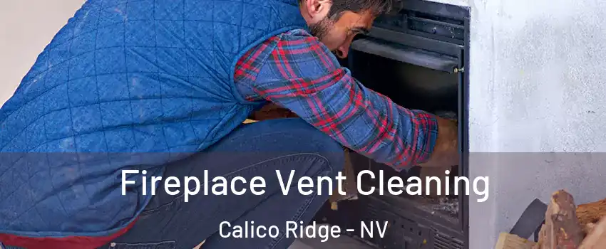 Fireplace Vent Cleaning Calico Ridge - NV