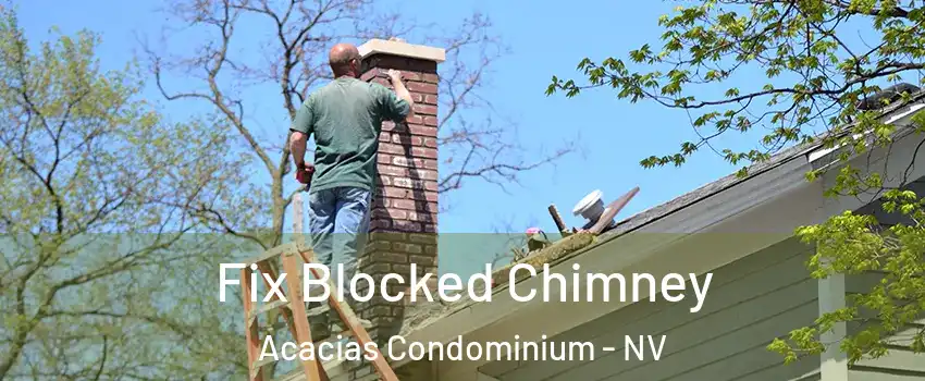Fix Blocked Chimney Acacias Condominium - NV