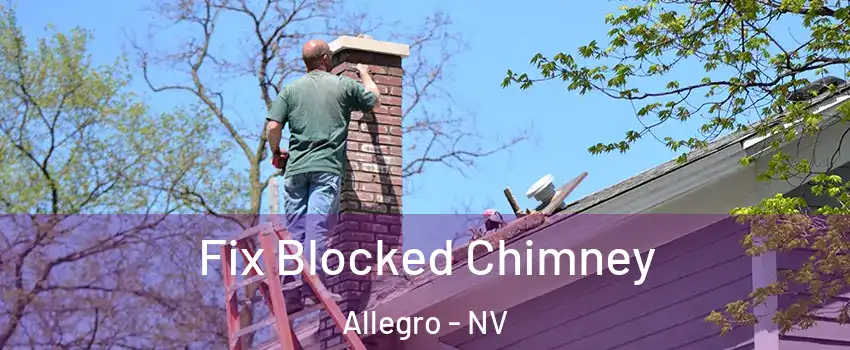 Fix Blocked Chimney Allegro - NV