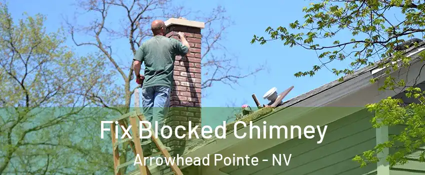 Fix Blocked Chimney Arrowhead Pointe - NV