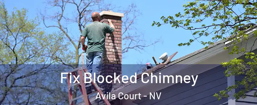 Fix Blocked Chimney Avila Court - NV
