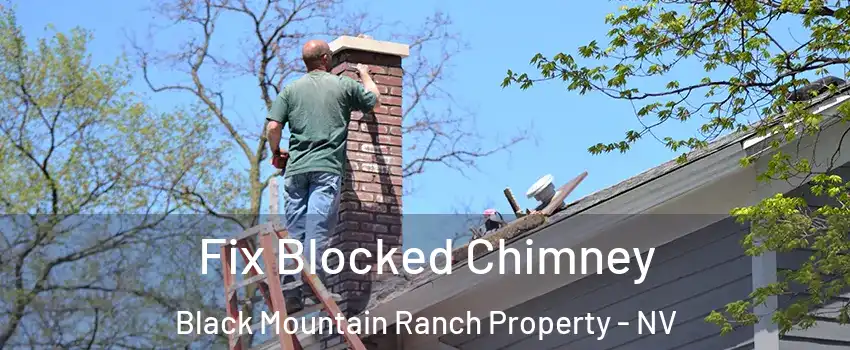 Fix Blocked Chimney Black Mountain Ranch Property - NV