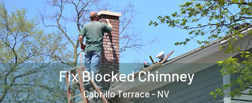 Fix Blocked Chimney Cabrillo Terrace - NV