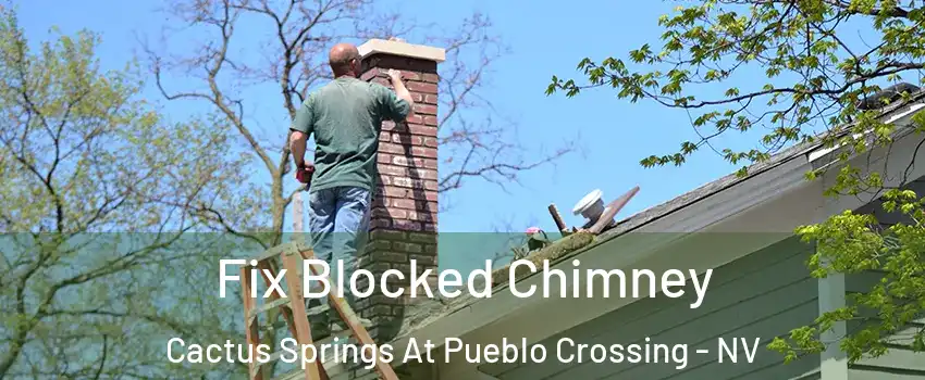 Fix Blocked Chimney Cactus Springs At Pueblo Crossing - NV