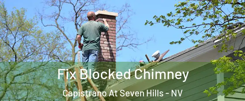 Fix Blocked Chimney Capistrano At Seven Hills - NV