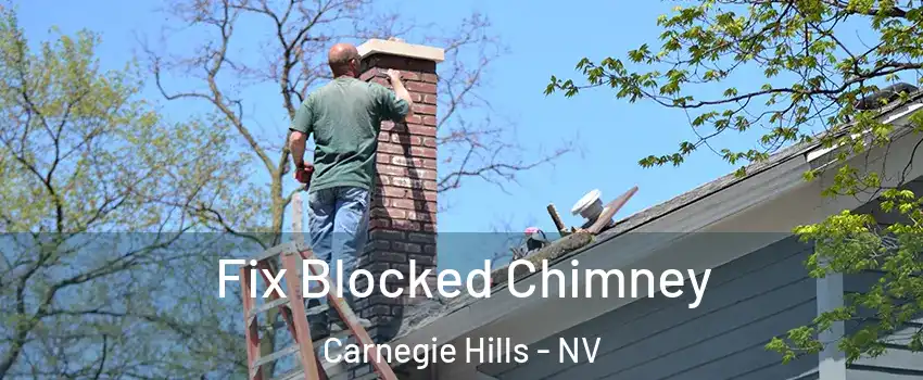 Fix Blocked Chimney Carnegie Hills - NV