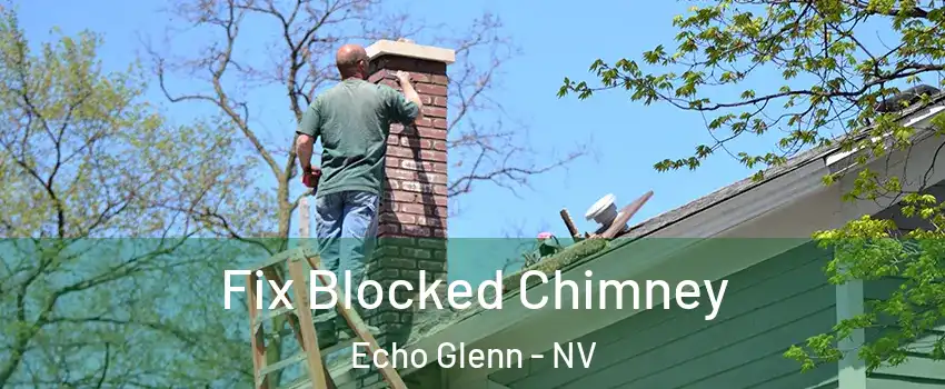 Fix Blocked Chimney Echo Glenn - NV