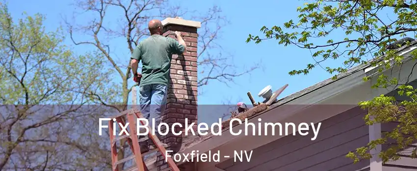 Fix Blocked Chimney Foxfield - NV