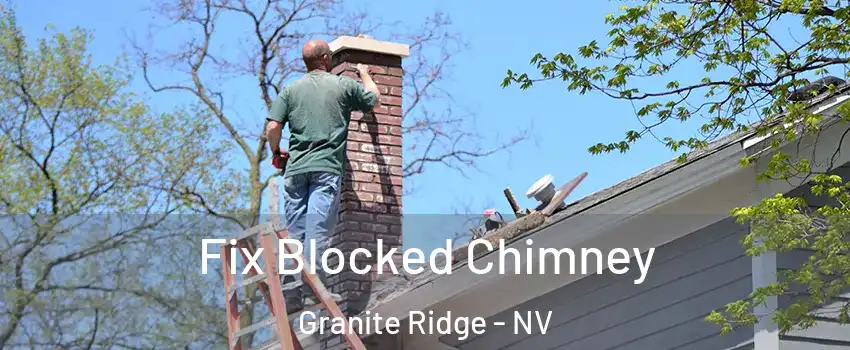 Fix Blocked Chimney Granite Ridge - NV