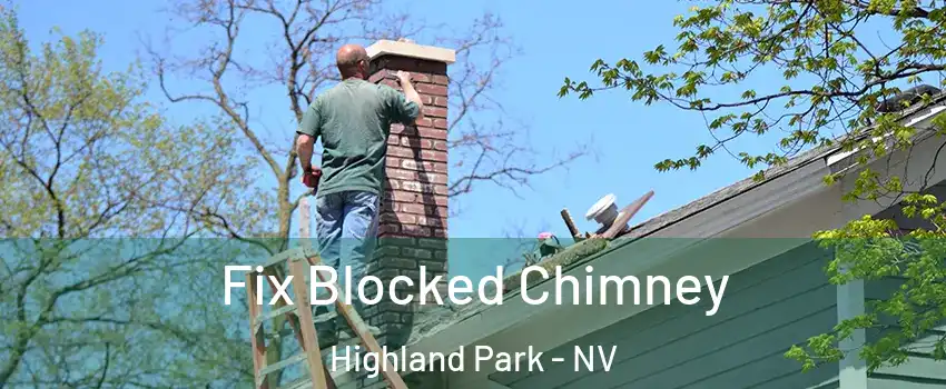 Fix Blocked Chimney Highland Park - NV