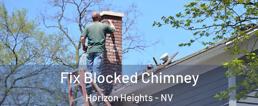 Fix Blocked Chimney Horizon Heights - NV